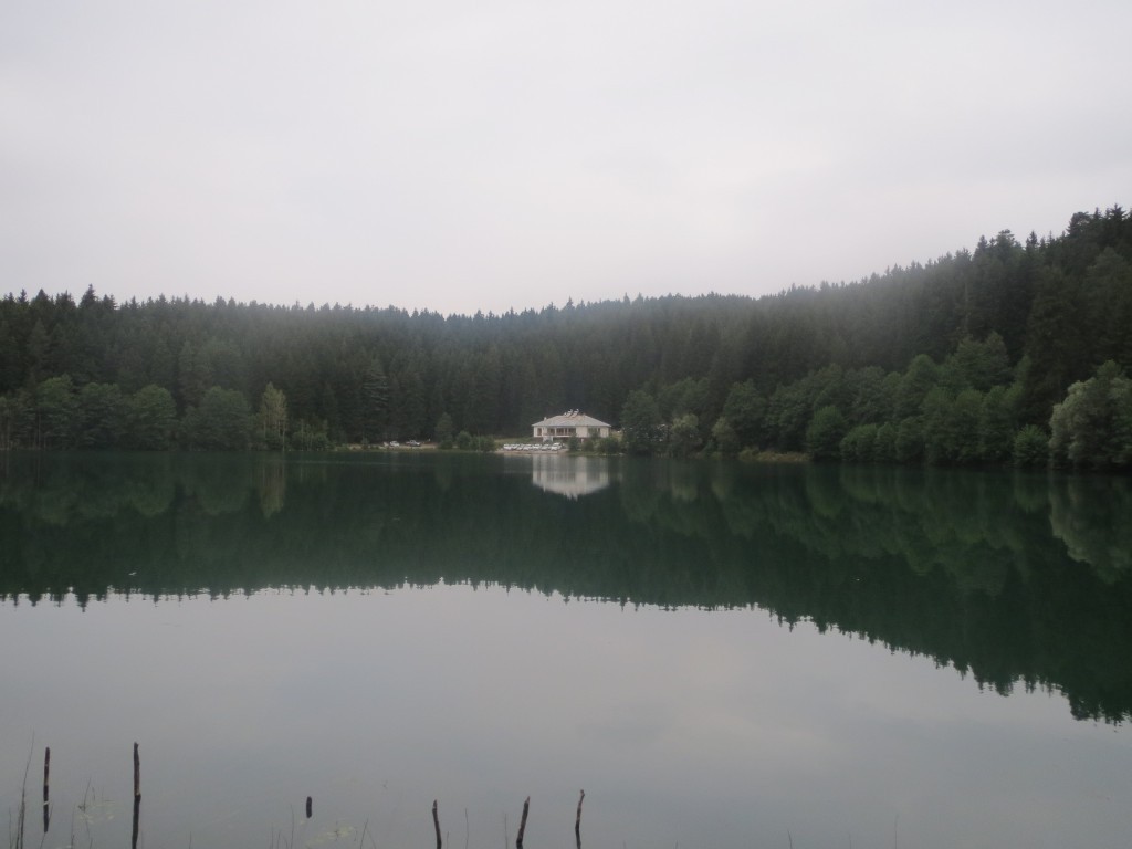 IMG_1378.JPG