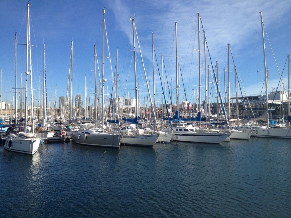 IMG_1404 (Large).JPG