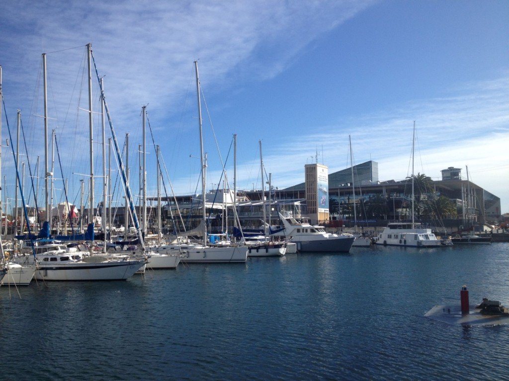 IMG_1405 (Large).JPG