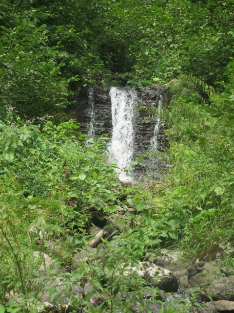 IMG_1451.JPG