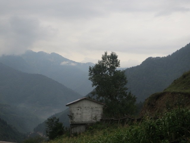 IMG_1483.JPG