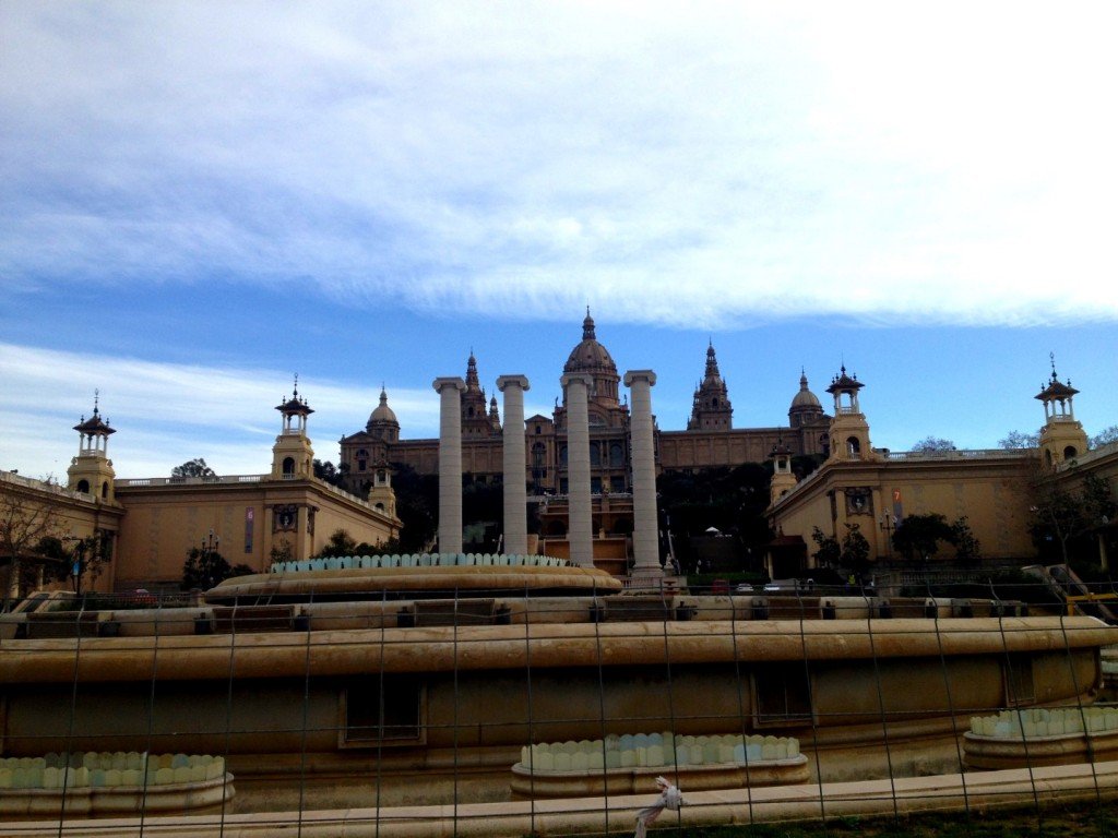 IMG_1527 (Large).JPG