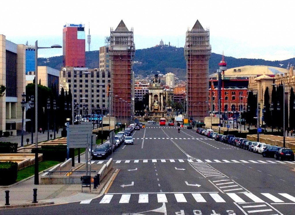 IMG_1533 (Large).JPG