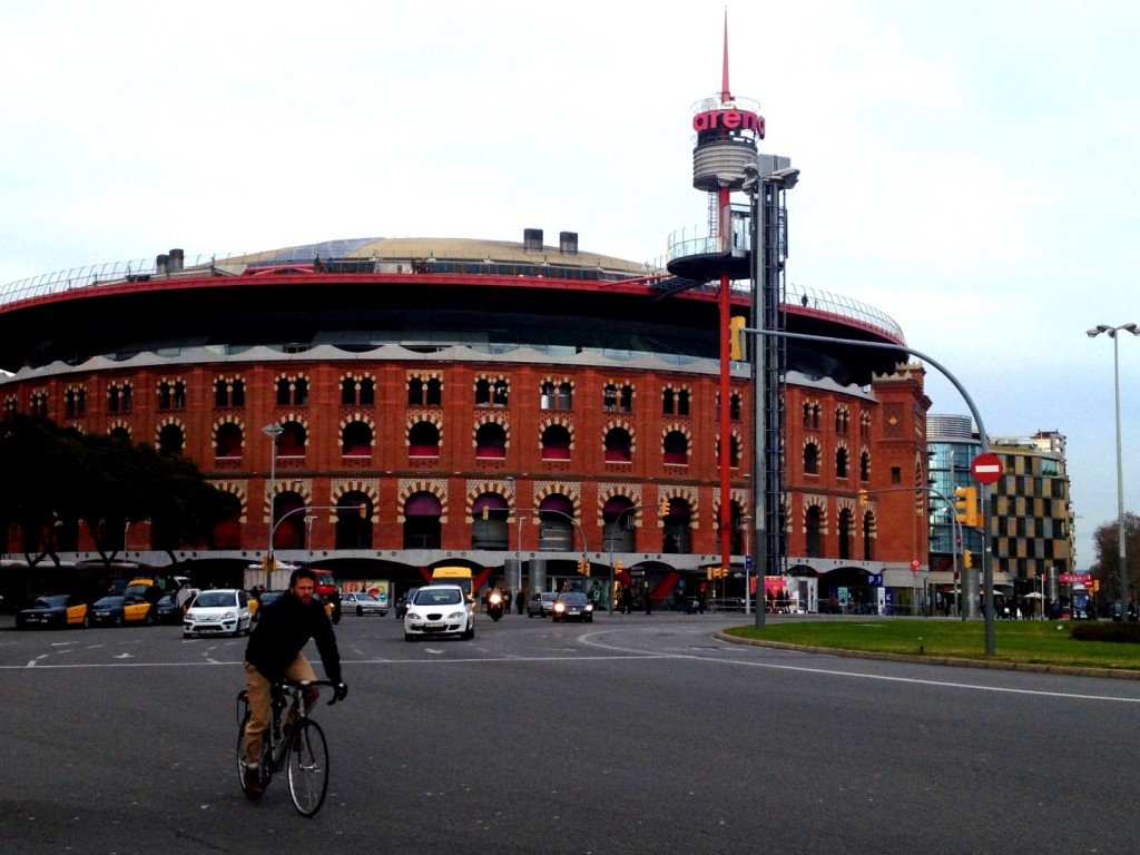 IMG_1542 (Large).JPG