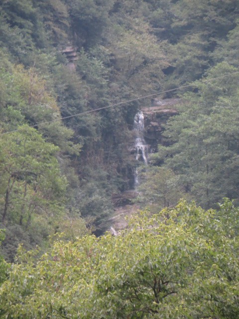 IMG_1590.JPG