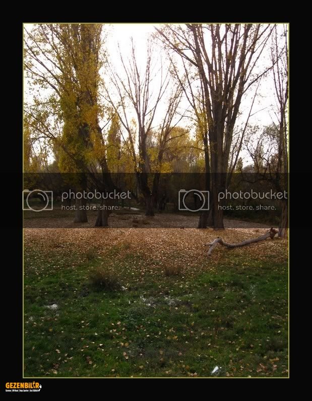 IMG_1655.jpg