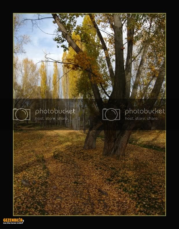 IMG_1664.jpg