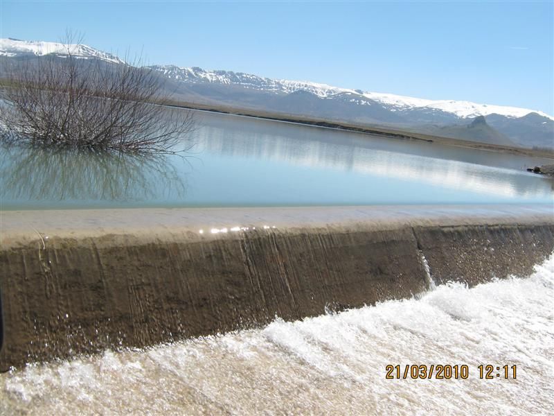 IMG_1688 (Medium).jpg