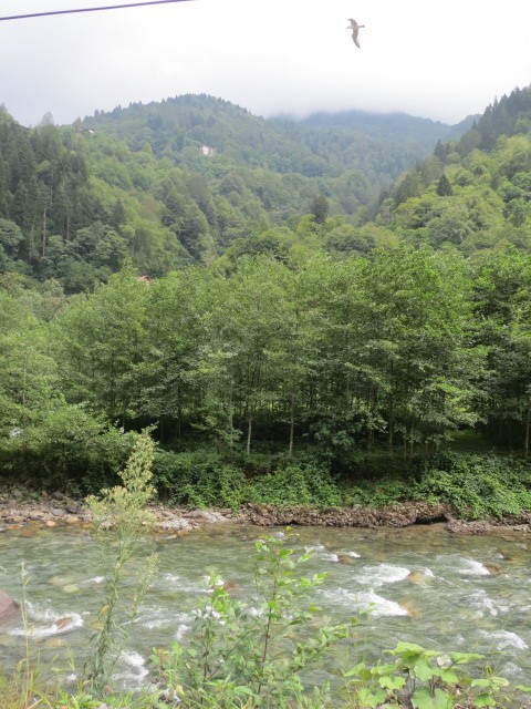 IMG_1696.JPG