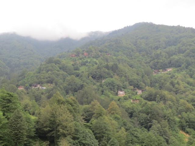 IMG_1698.JPG