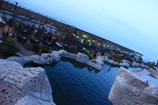 IMG_1704.jpg