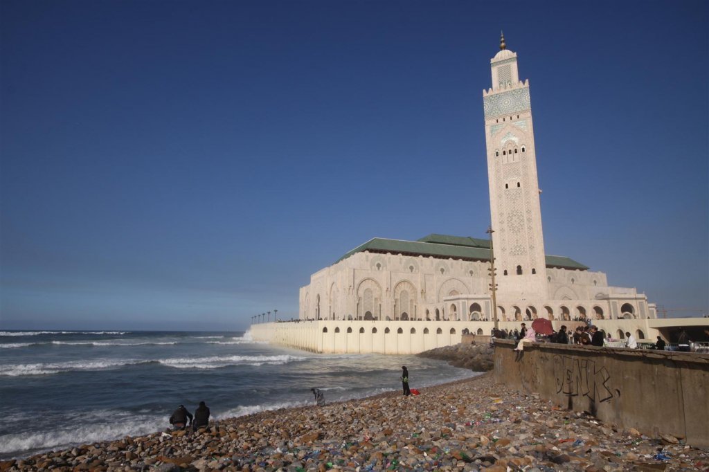 IMG_1719 (Large).JPG