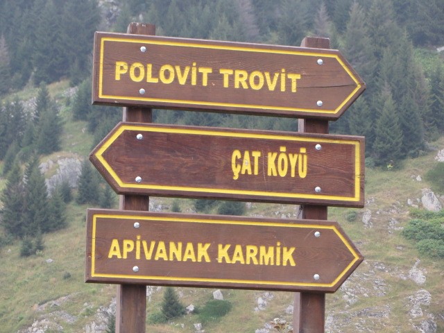 IMG_1726.JPG