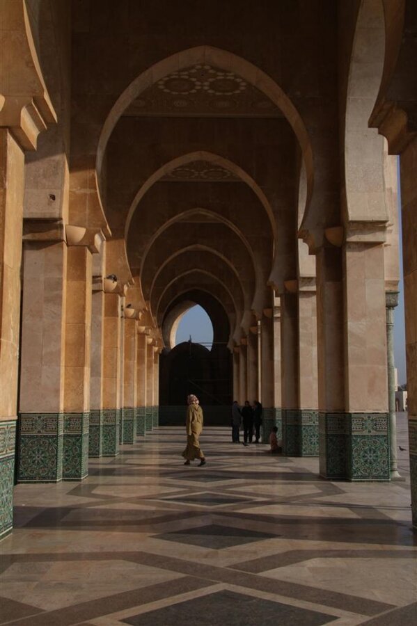 IMG_1731 (Large).JPG