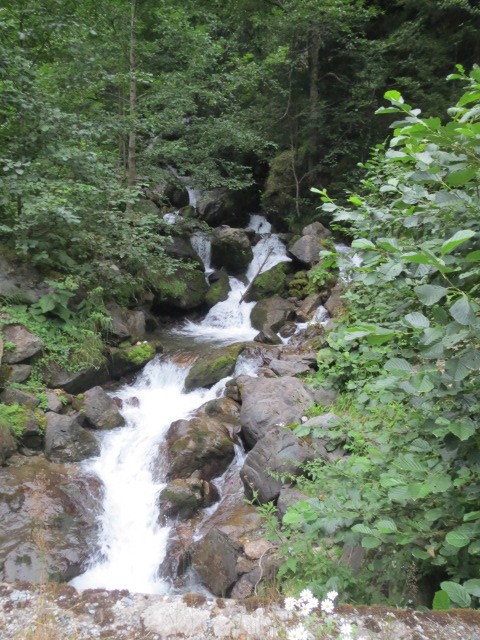IMG_1761.JPG