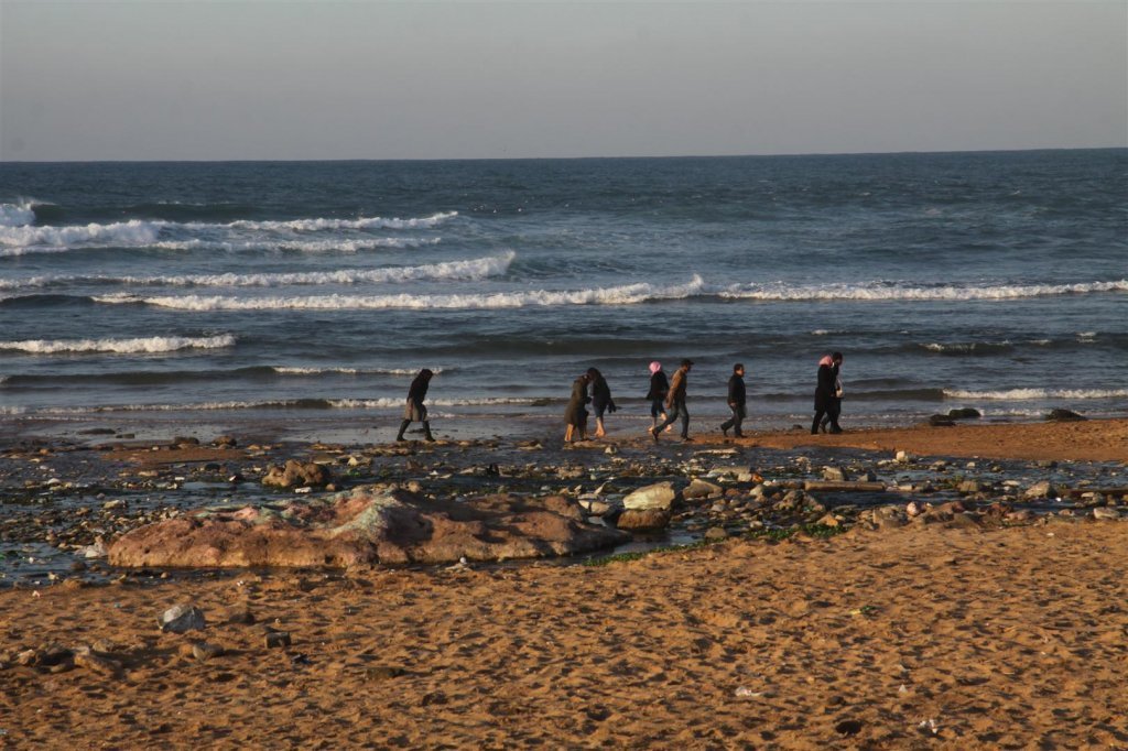 IMG_1765 (Large).JPG