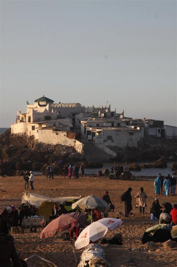 IMG_1766 (Large).jpg