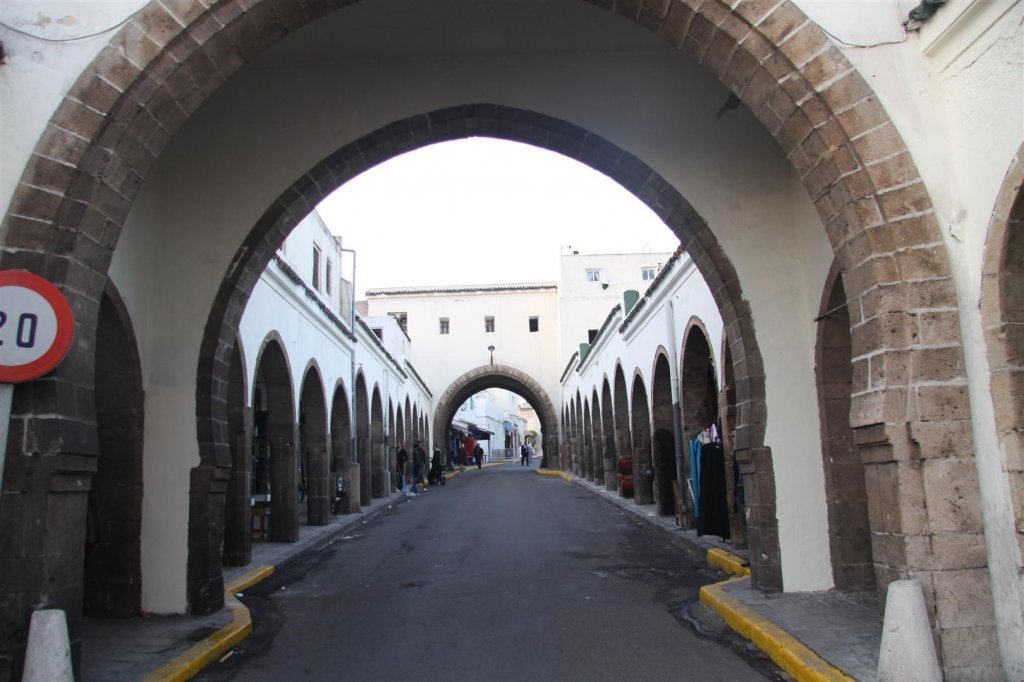 IMG_1778 (Large).JPG