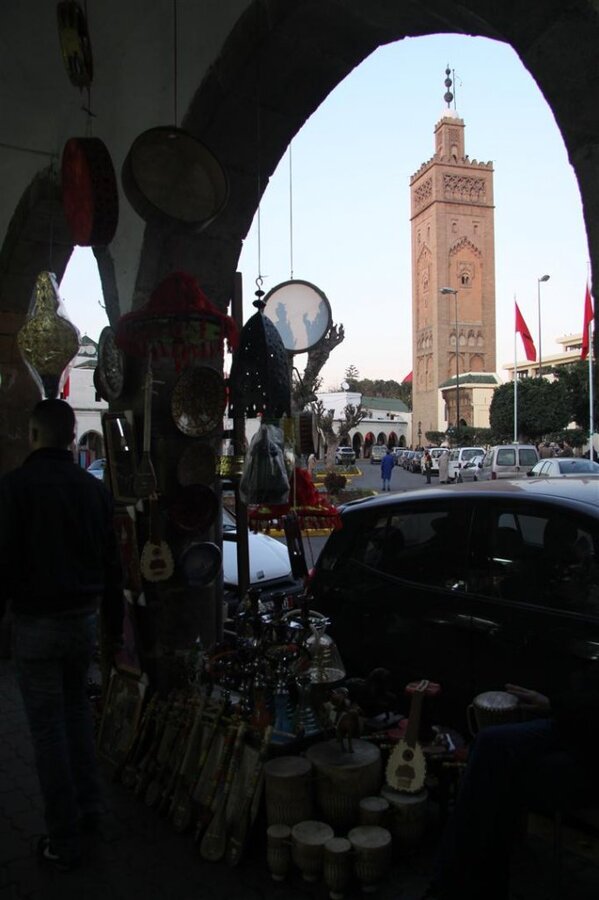 IMG_1784 (Large).JPG