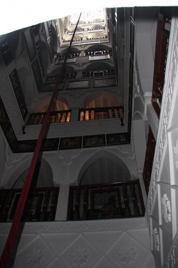 IMG_1796 (Large).JPG