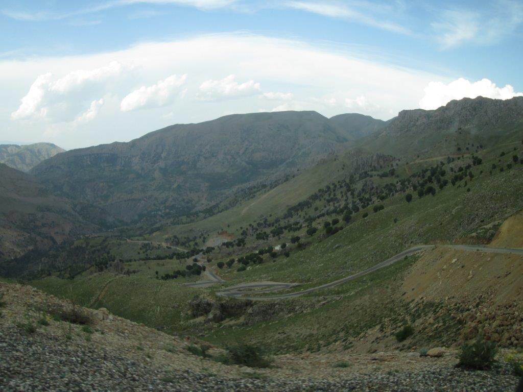 IMG_1797.jpg