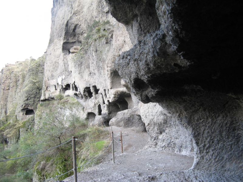 IMG_1850 (Large).jpg