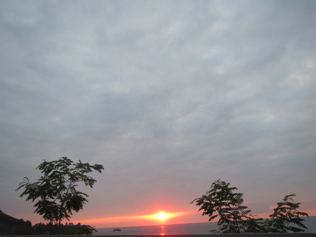 IMG_1877.JPG