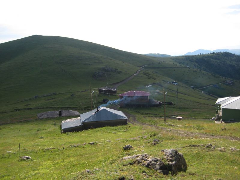 IMG_1887.jpg
