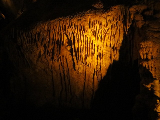 IMG_1960.JPG