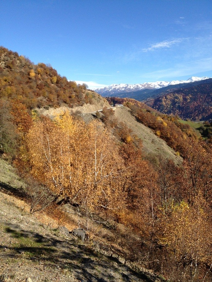 IMG_1980.JPG