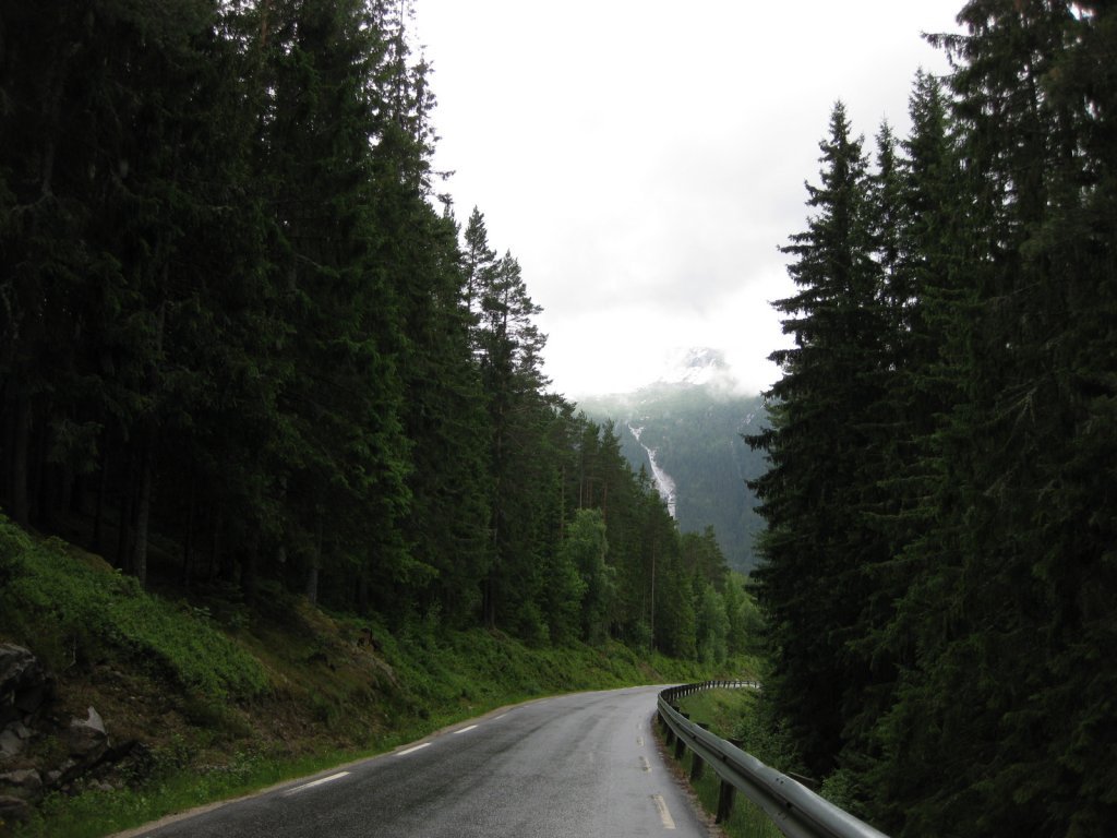 IMG_1987.jpg