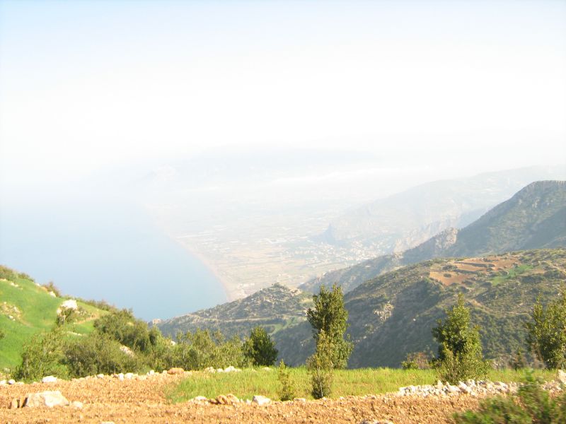 IMG_2010.jpg