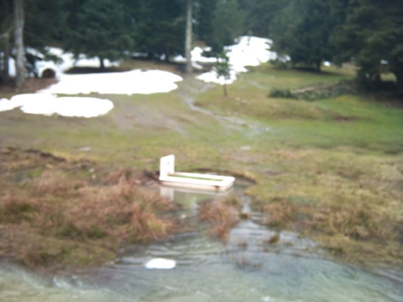 IMG_20110403_113201.jpg