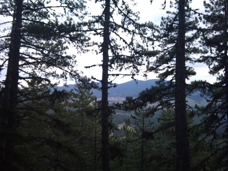 IMG_20110417_123817.jpg