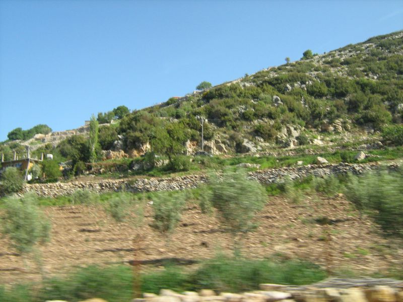 IMG_2012.jpg