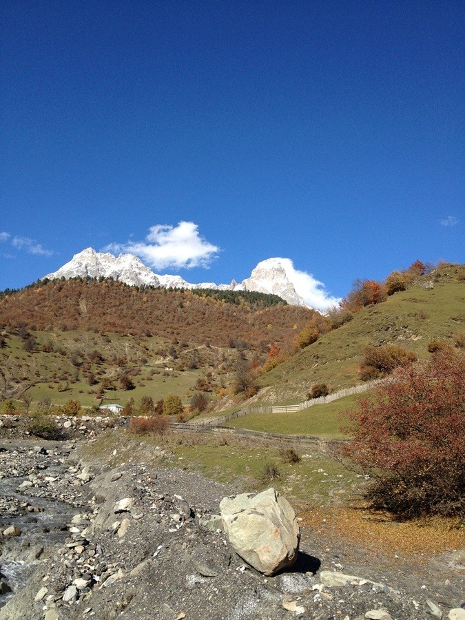 IMG_2012.JPG