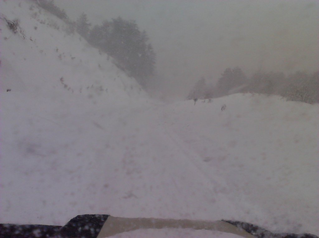 IMG_20120303_122807.jpg