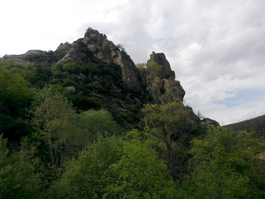 IMG_20140503_164104.jpg