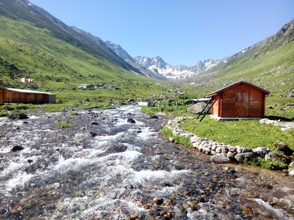 IMG_20150702_083622.jpg