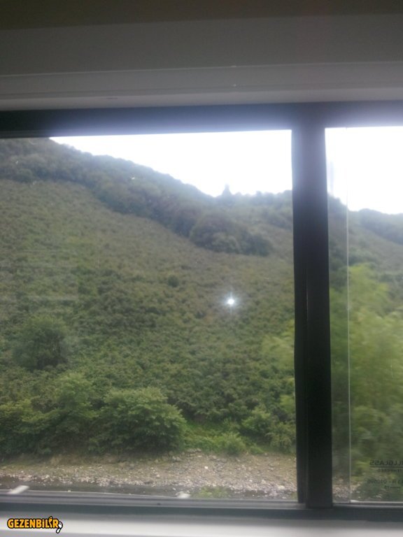 IMG_20150726_125334.jpg