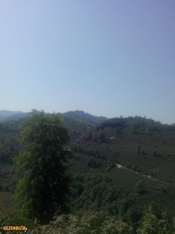 IMG_20150727_100625.jpg