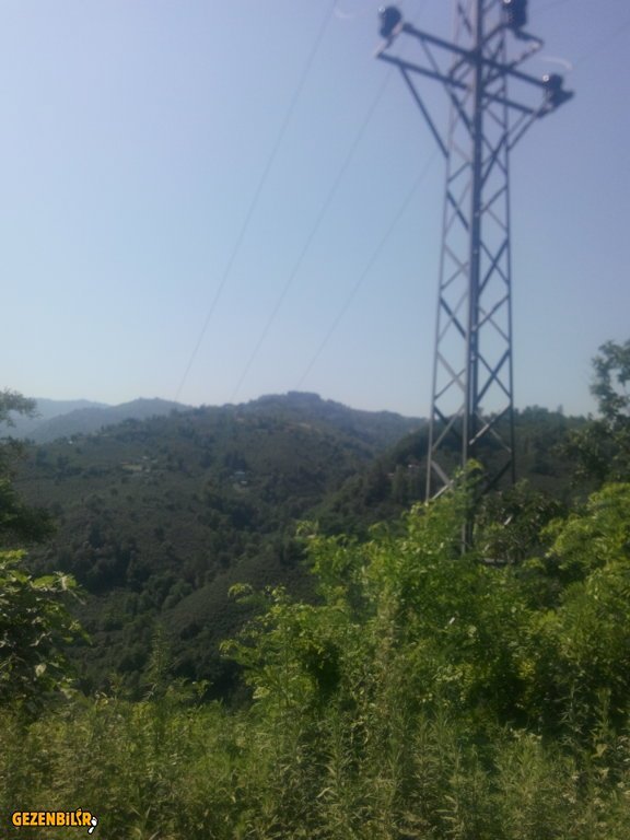 IMG_20150727_100630.jpg