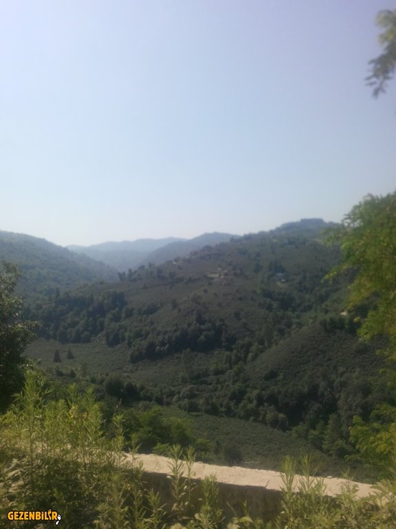 IMG_20150727_100634.jpg