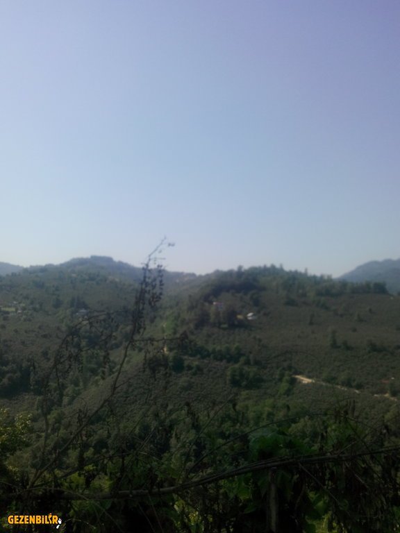 IMG_20150727_100640.jpg