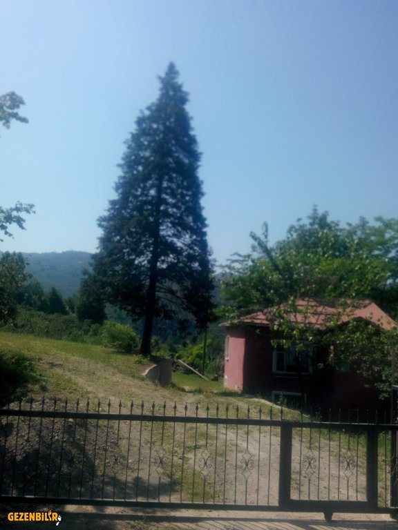 IMG_20150727_102005.jpg