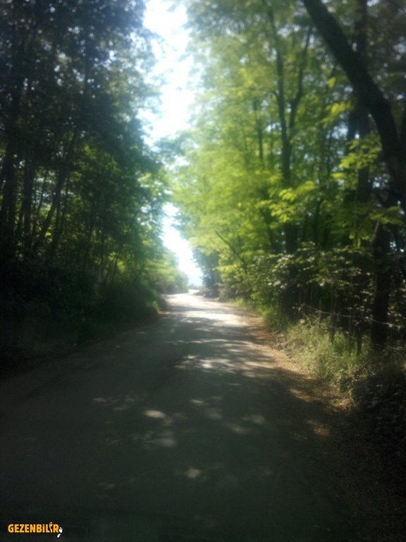 IMG_20150727_102039.jpg