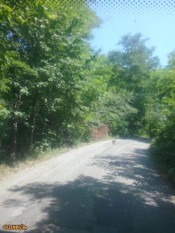 IMG_20150727_102625.jpg
