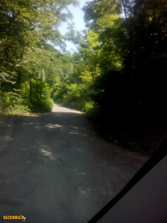 IMG_20150727_102629.jpg