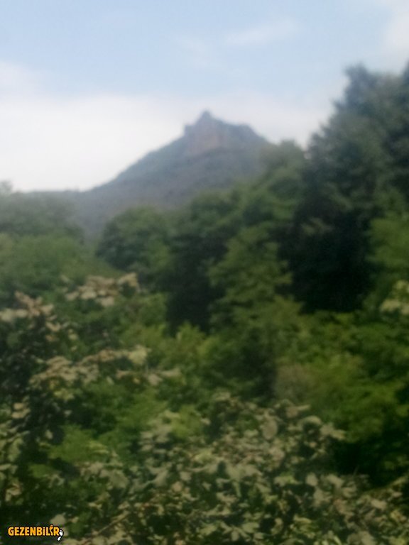 IMG_20150727_121051.jpg