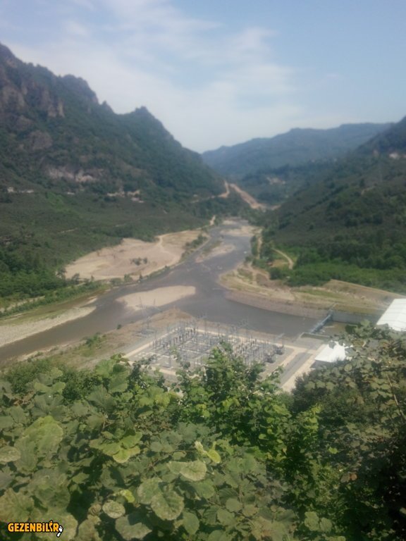 IMG_20150727_121334.jpg